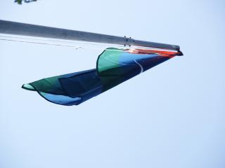 De vlag